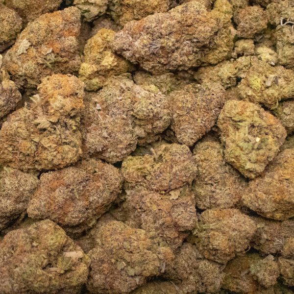 Gelato Sherbet - Image 2