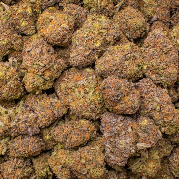 Granddaddy Purple - Image 2