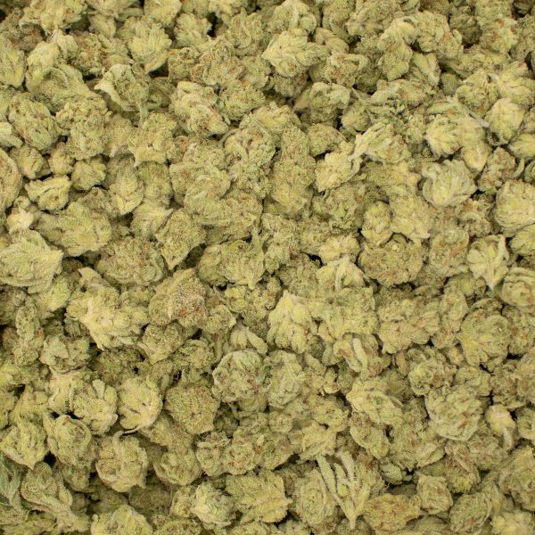 Chemdog OG (Smalls) 1/4 lb - Image 2