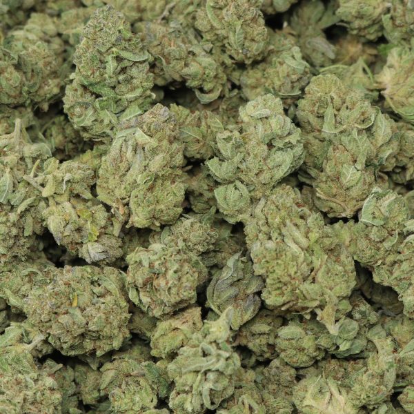 Gorilla Glue - Image 2