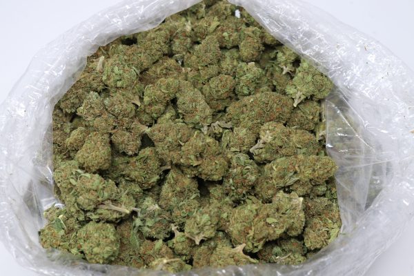 Lemon Skunk - Image 2