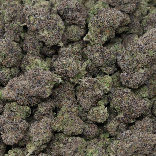 Purple Fritter - Image 2