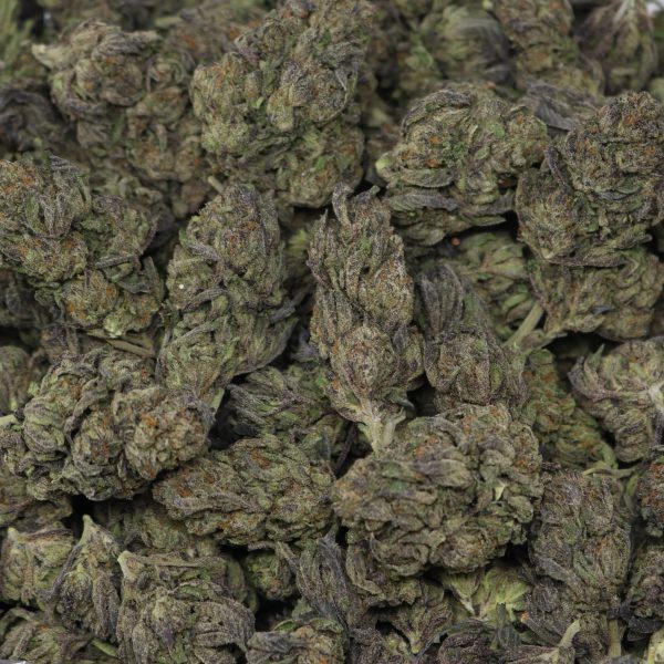Gummy Haze - Image 2