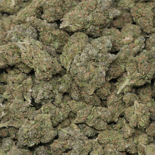 Granddaddy Purple (GDP) - Image 2