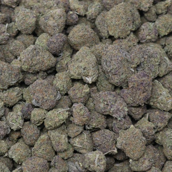 Purple Froyo - Image 2