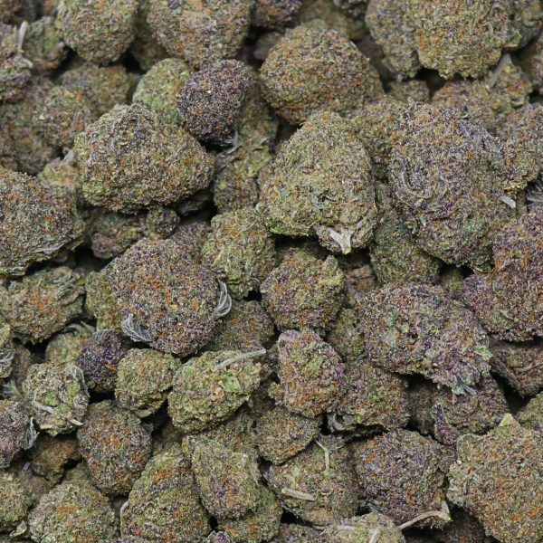 Purple Froyo - Image 2