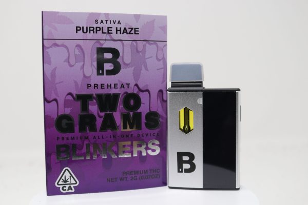 Blinkers 2g Disposable - Purple Haze