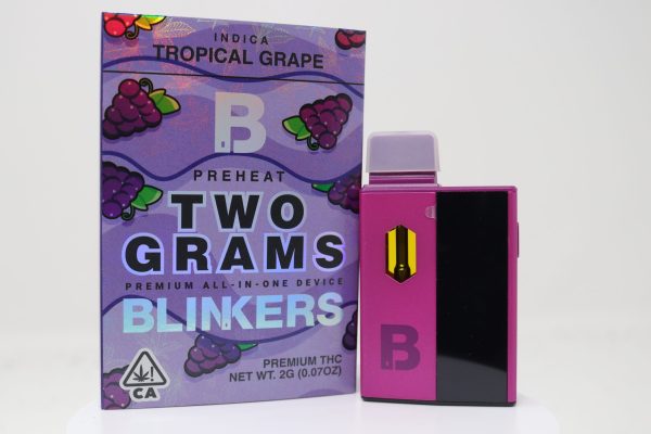 Blinkers 2g Disposable - Tropical Grape