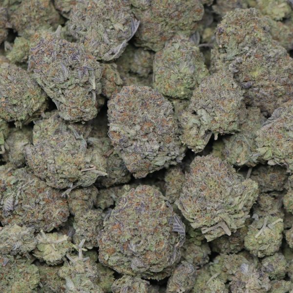 Gelato Bookies - Image 2