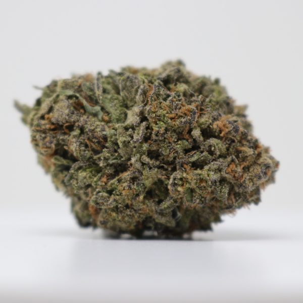 Gelato Bookies