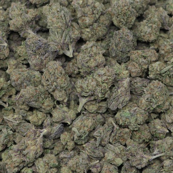 Gelato Candy - Image 2