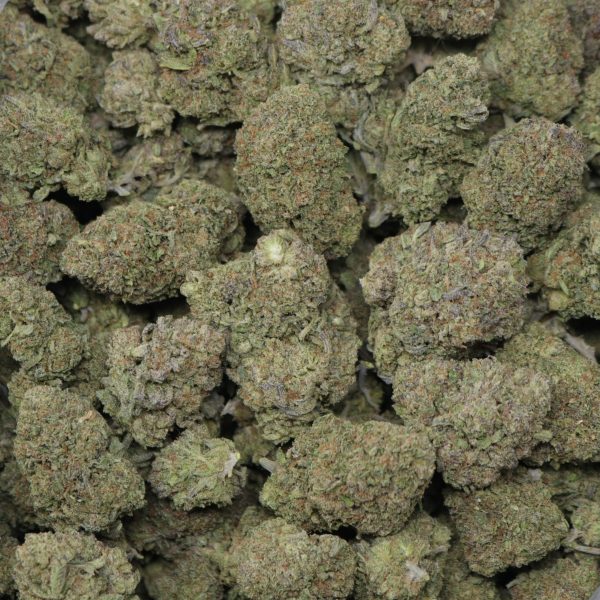 Gelato Haze - Image 2