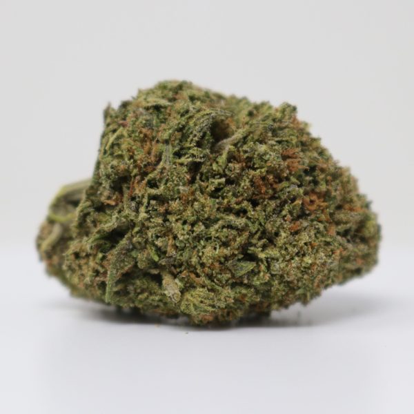 Gelato Haze