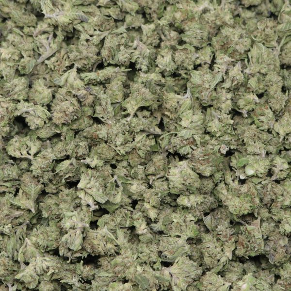 Golden Gas Smalls - Image 2