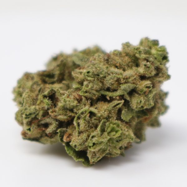 Golden Gas Smalls