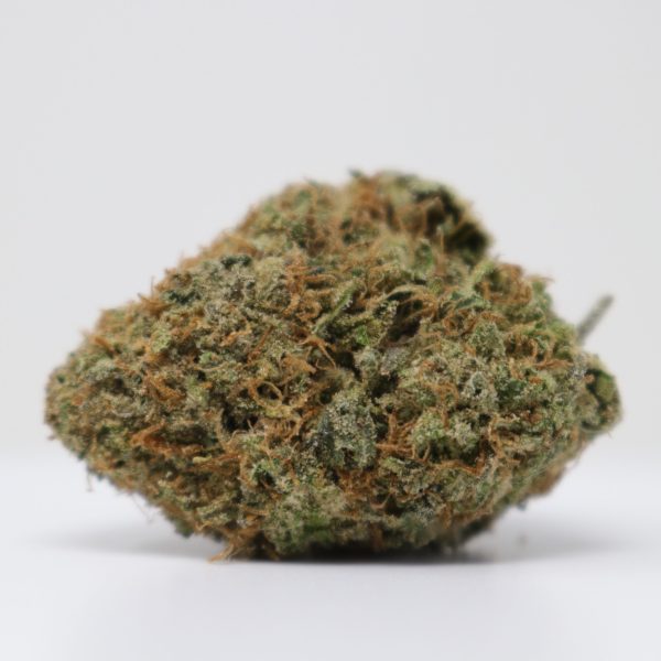 Jungle Gelato