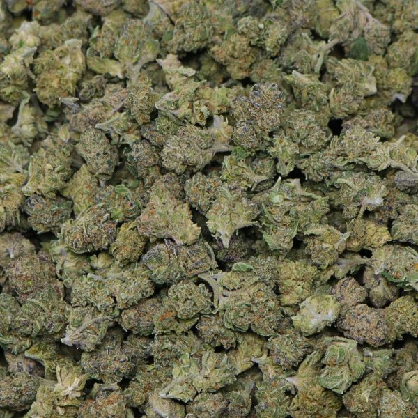Lemon Cherry Gelato (Smalls) - Image 2