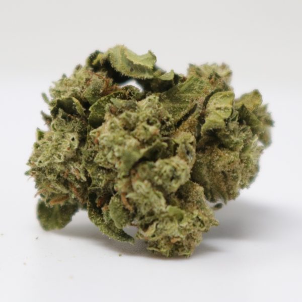Lemon Cherry Gelato (Smalls)