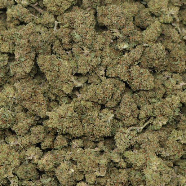 Gorilla Glue - Image 2