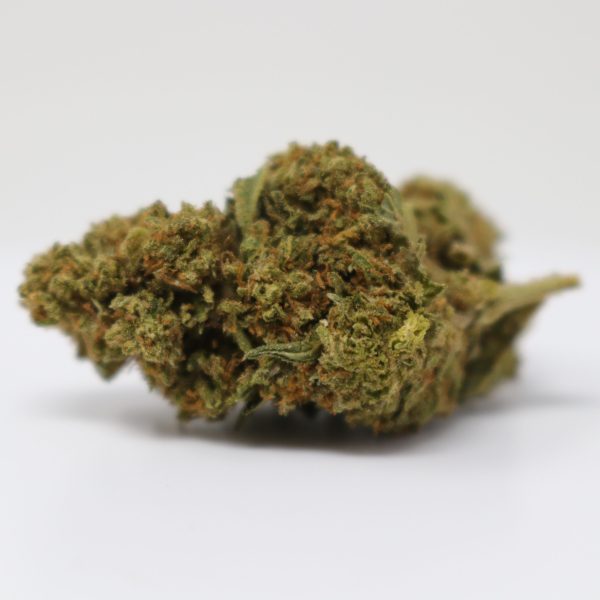 Gorilla Glue