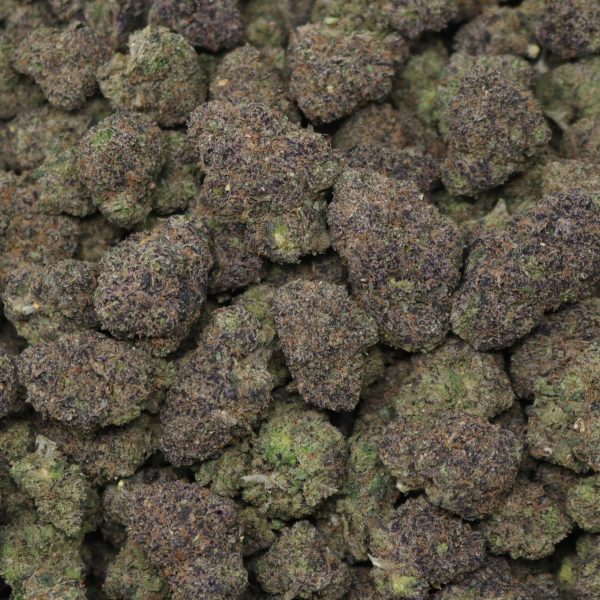 Purple Gaslatto - Image 2