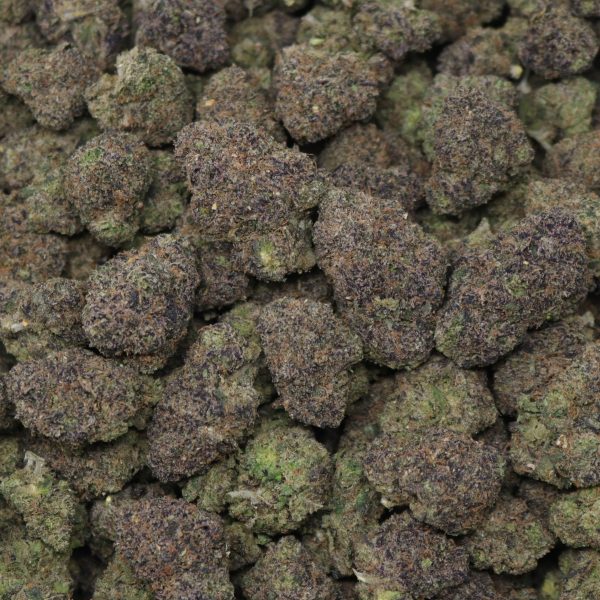 Purple Gaslatto - Image 2