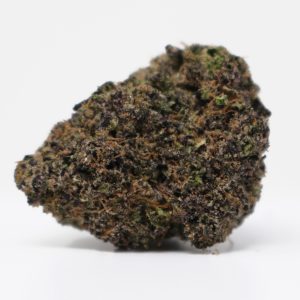Purple Gaslatto