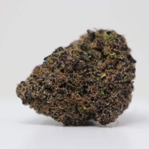 Purple Gaslatto