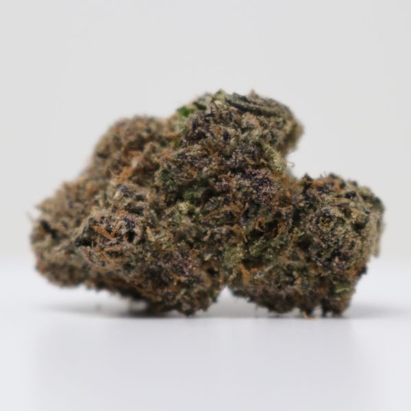 Purple Great Butane