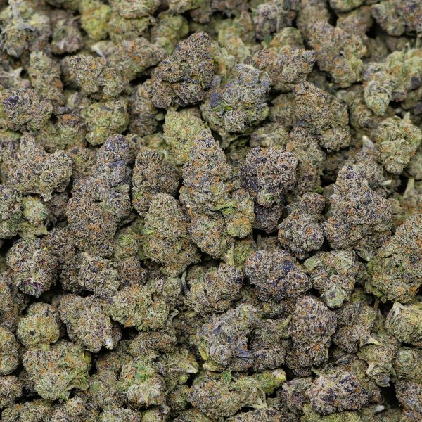 Champagne Gelato - Image 2