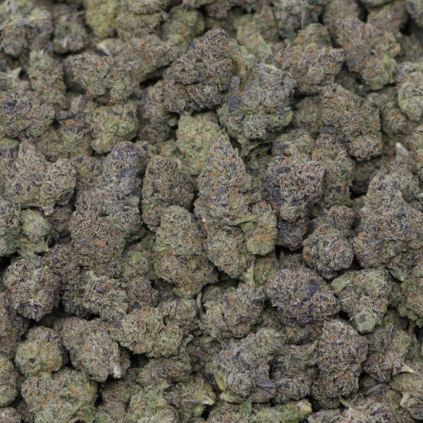 Champagne Gelato - Image 2