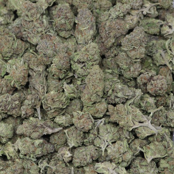 Berry Zest Gelato - Image 2