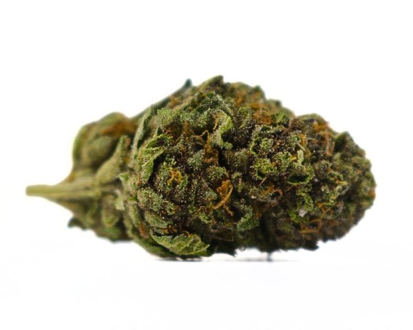 Berry Zest Gelato