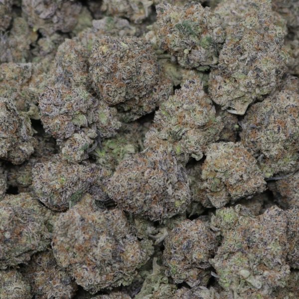 Black Cherry Gelato - Image 2