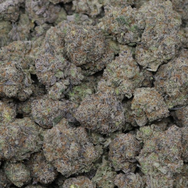 Black Cherry Gelato - Image 2