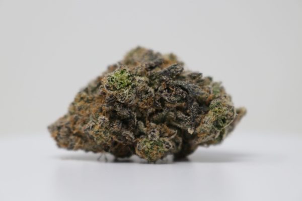 Black Cherry Gelato