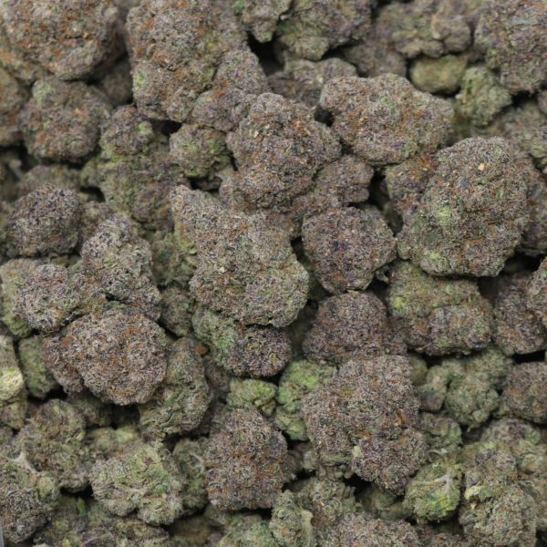 Black Trufflelatto - Image 2