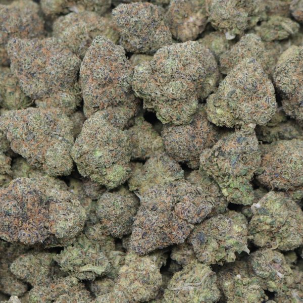 Bubble Gum Gelato - Image 2