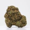 Bubble Gum Gelato