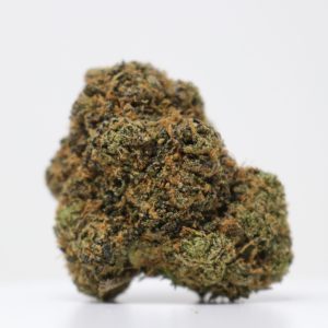 Bubble Gum Gelato