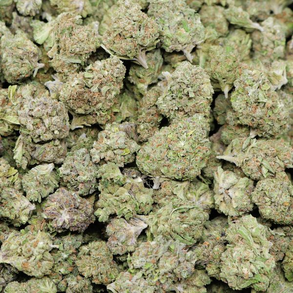Burger Breath - Image 2