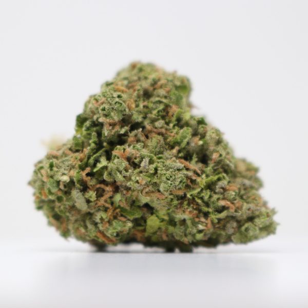 Burger Breath