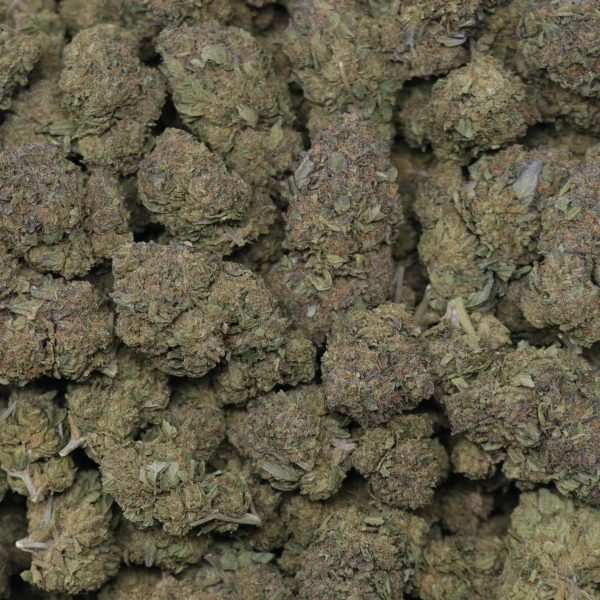 Cali Gold Cream - Image 2