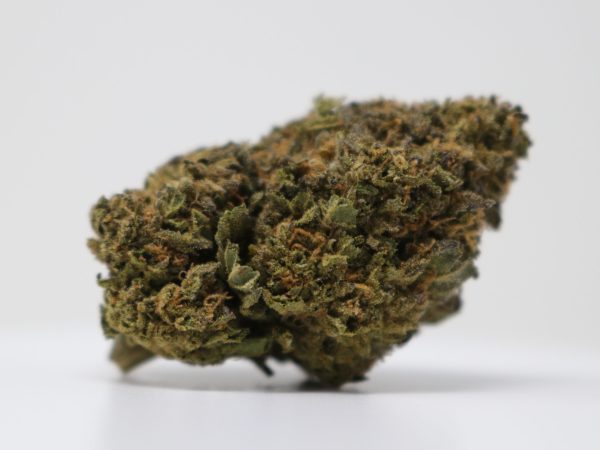 Cali Gold Cream