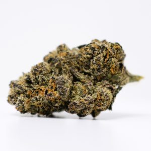 Champagne Gelato