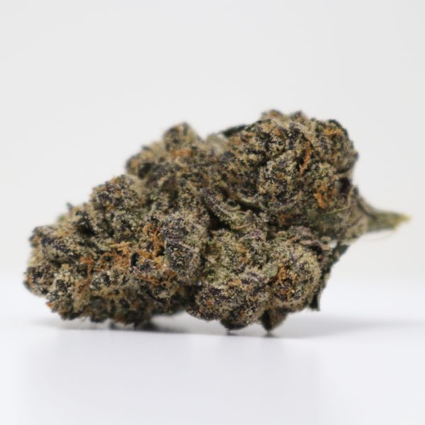 Champagne Gelato