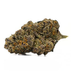 Champagne Gelato