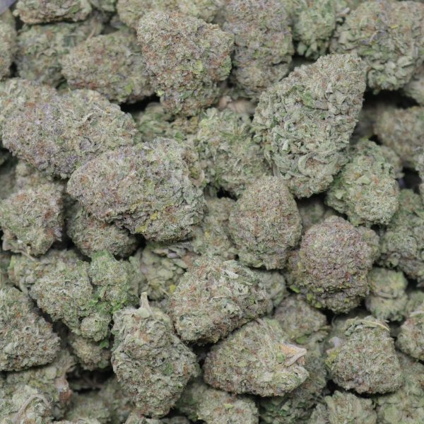Frosted Cookie - Image 2