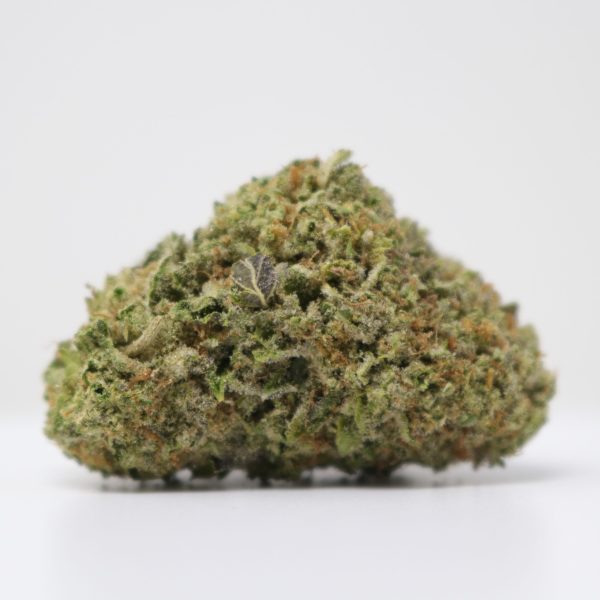Frosted Cookie