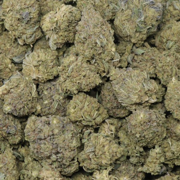 Gelato 45 - Image 2